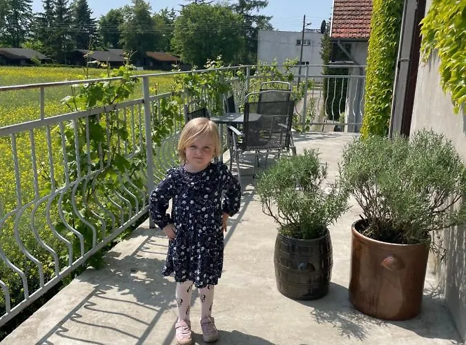 Pokoje Z Widokiem 招待所 Chrzypsko Wielkie